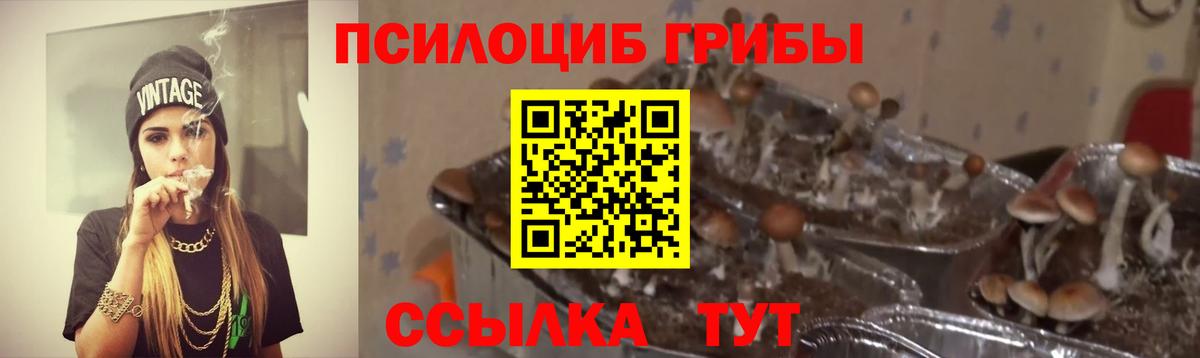 Псилоцибиновые грибы Magic Shrooms  Вход с VPN  Москва 